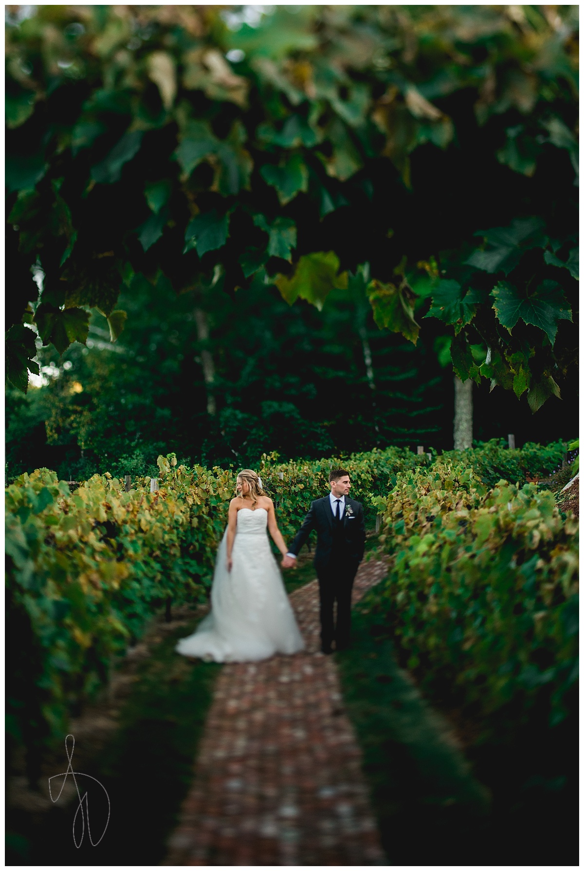 Zorvino's Wedding Photography
