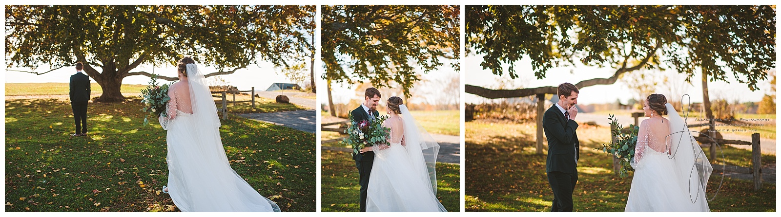 Backyard-Maine-Wedding-12.jpg